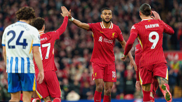 导和球员的 导和球员的