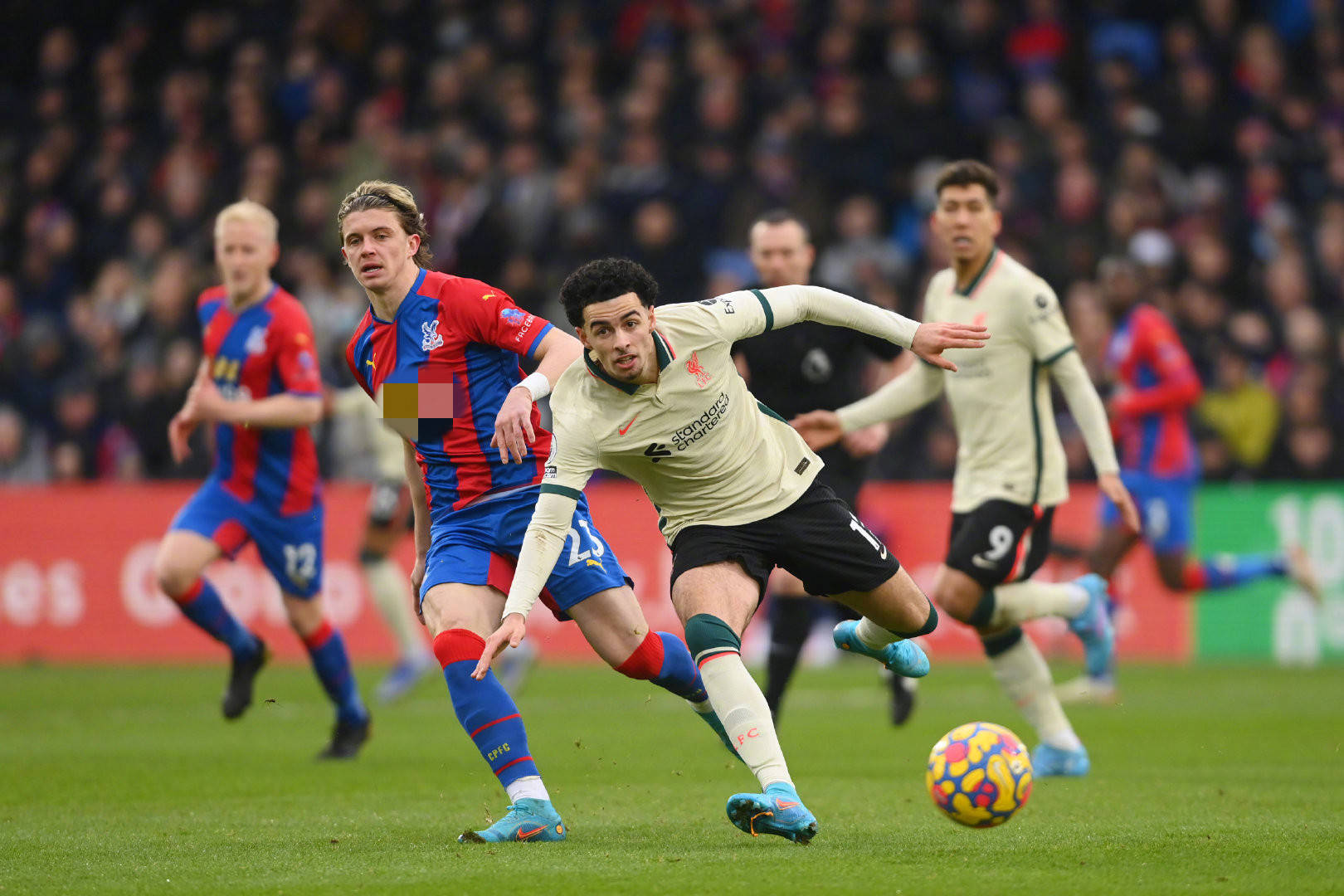 科利尔这样 科利尔这样